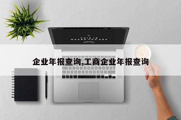 企业年报查询,工商企业年报查询