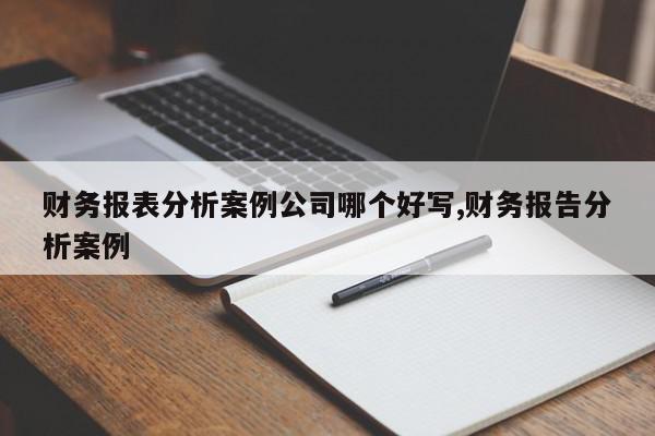 财务报表分析案例公司哪个好写,财务报告分析案例
