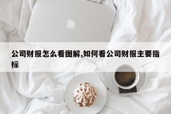 公司财报怎么看图解,如何看公司财报主要指标