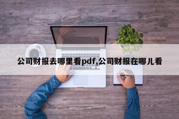 公司财报去哪里看pdf,公司财报在哪儿看