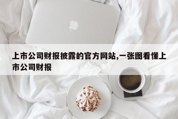 上市公司财报披露的官方网站,一张图看懂上市公司财报