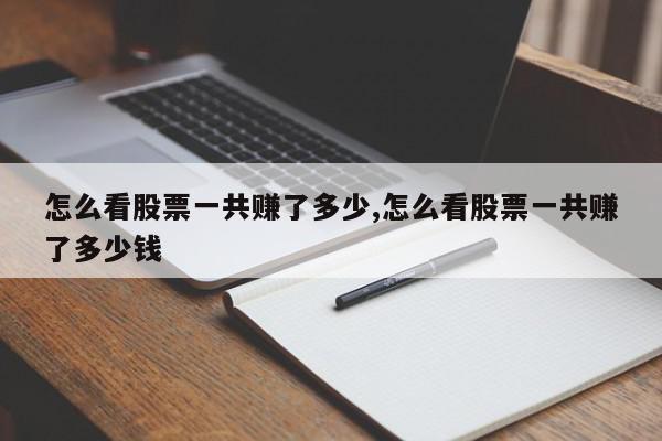 怎么看股票一共赚了多少,怎么看股票一共赚了多少钱