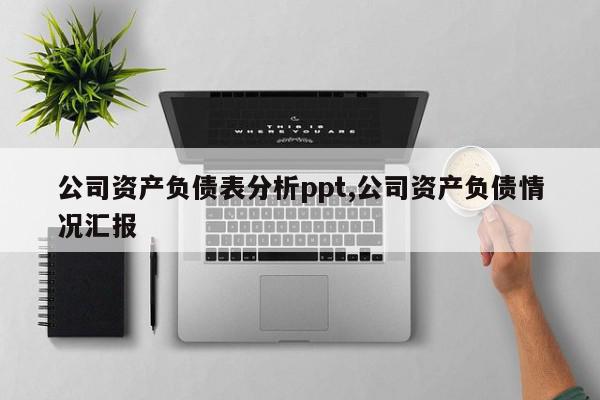 公司资产负债表分析ppt,公司资产负债情况汇报