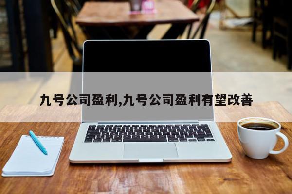 九号公司盈利,九号公司盈利有望改善