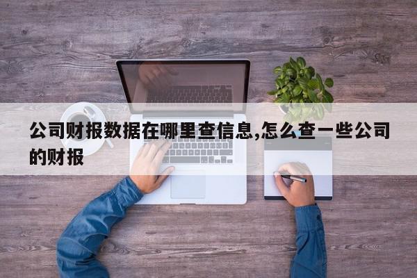公司财报数据在哪里查信息,怎么查一些公司的财报